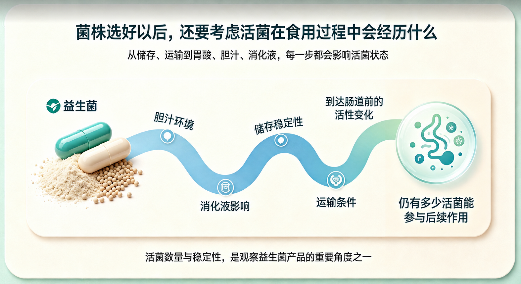 益生菌与女性周期健康：一组值得关注的科学线索(图3)